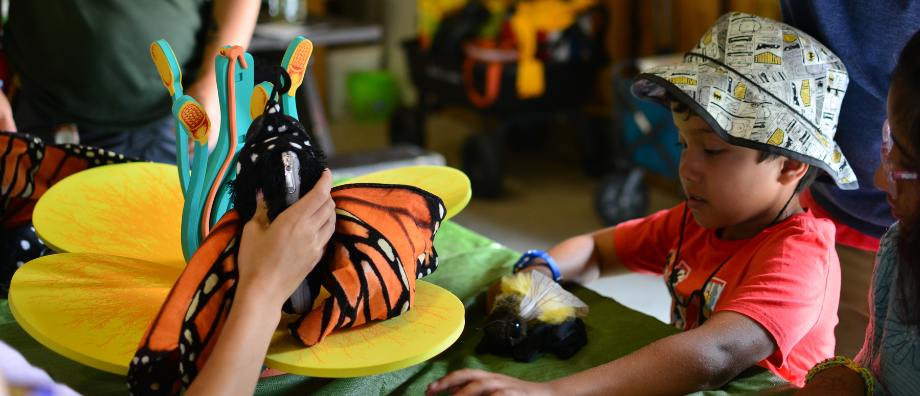 A student learns about bees and butterflies at Riverwood